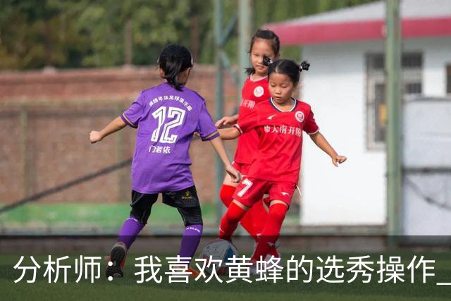 分析师：我喜欢黄蜂的选秀操作 施泰因巴赫简直是个内线巨兽