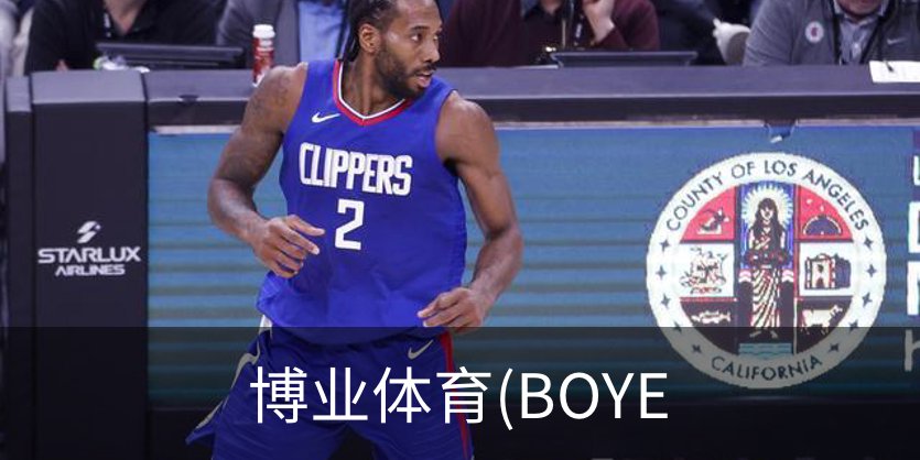博业体育(BOYE概况