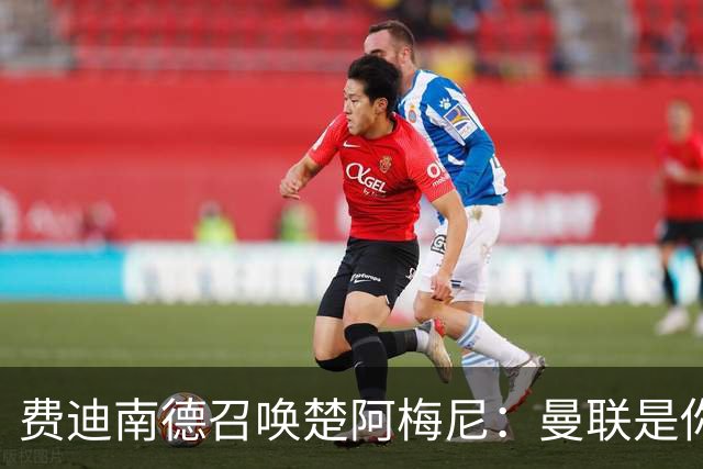 费迪南德召唤楚阿梅尼：曼联是你的唯一归宿，想成事的话就来吧！